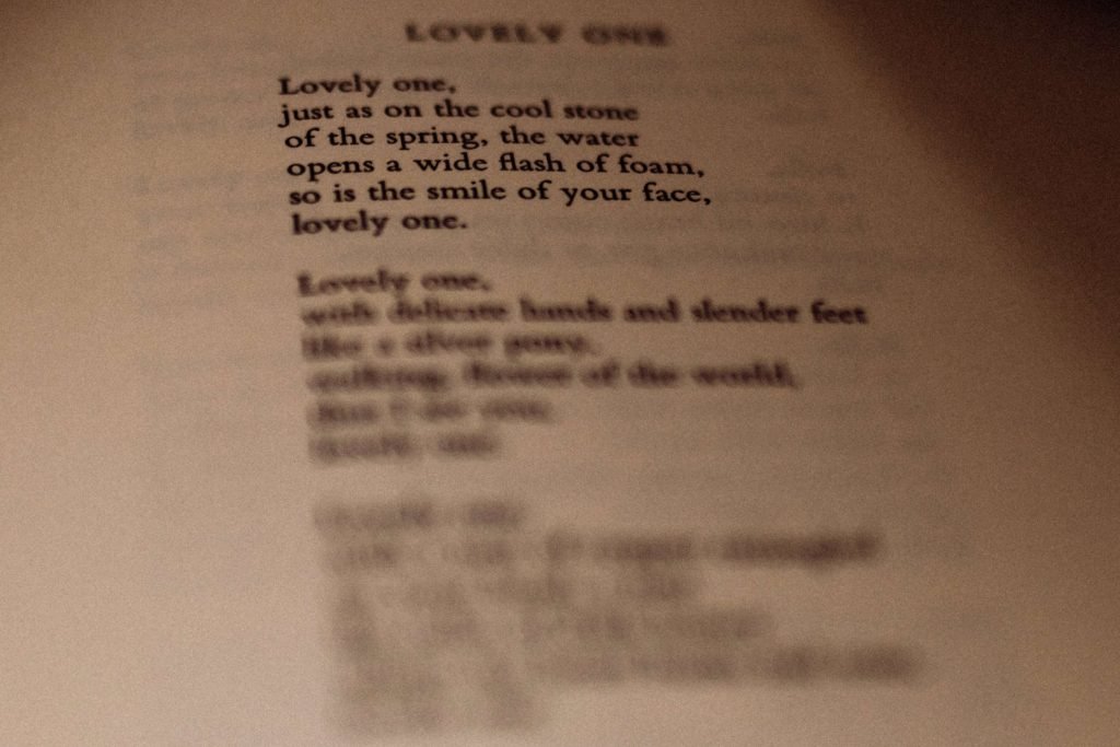 A poetry excerpt from Pablo Neruda's Captains Verses