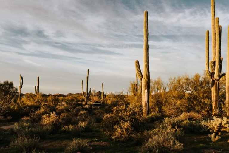 Best Off-The-Beaten Path Locations to Elope in Arizona for Adventurous Families