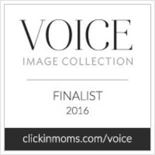 Click and Company Voice Image Collection finalist badge